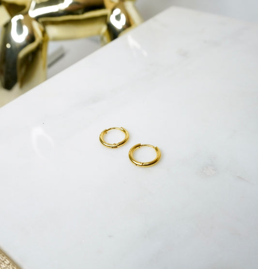 Mini Hoops